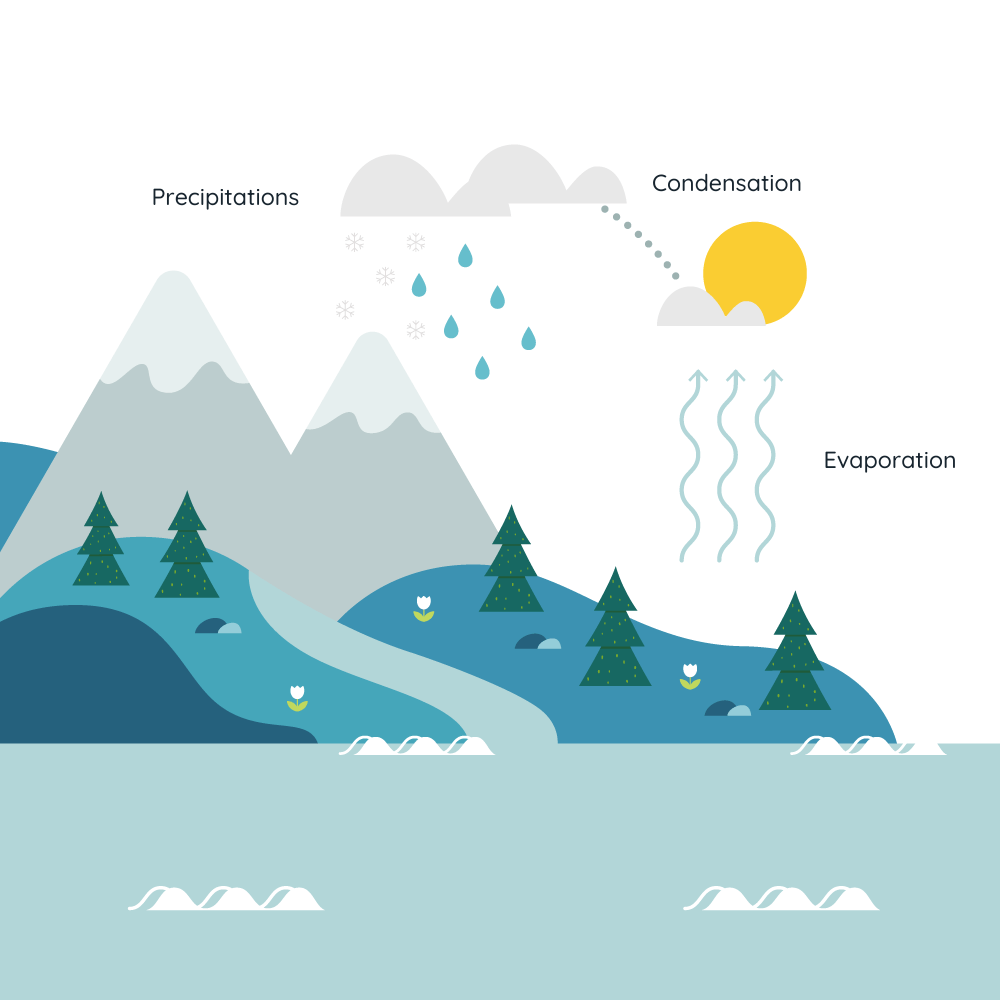 water cycle